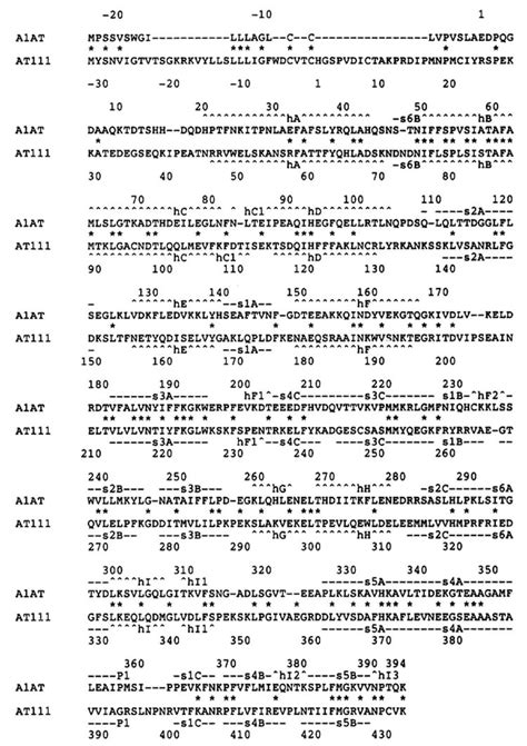 Biological implications of a 3 å structure of dimeric antithrombin: Structure