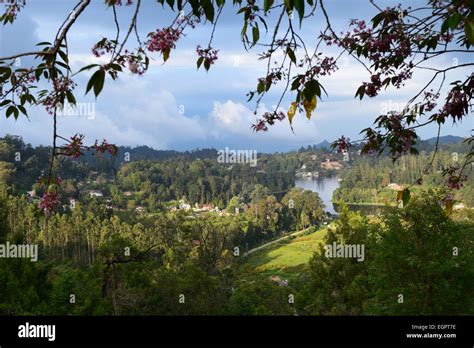 kodaikanal Hill Station Tamil Nadu India Wide view of Kodaikanal and Kodaikanal Lake Stock Photo ...