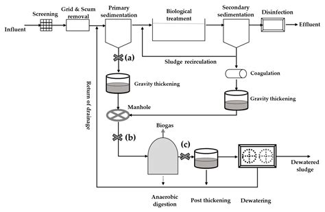 Water | Free Full-Text | Enhanced Mesophilic Anaerobic Digestion of ...