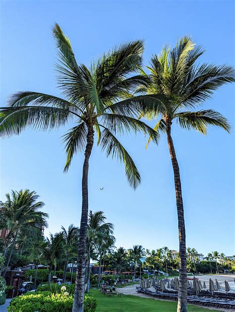 Secret Beach Oahu Island Hawaii Photograph by Alex Grichenko | Pixels