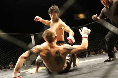 What Is Ground And Pound In MMA? A Beginner’s Guide – MMA Channel