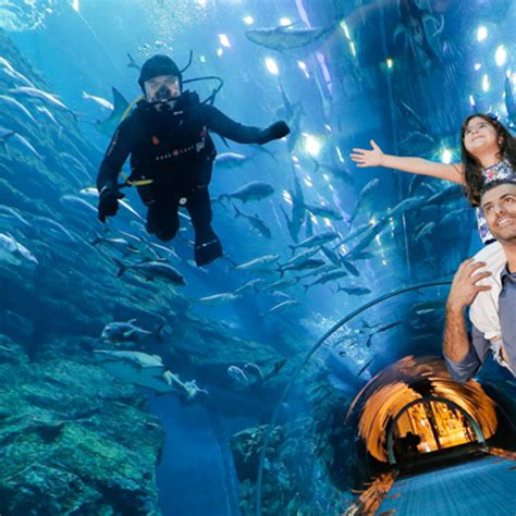 Book Dubai Aquarium and Underwater Zoo Tickets Online