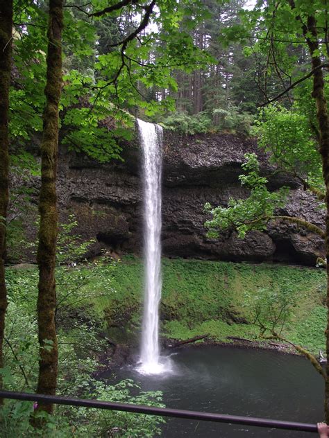 Adventures In Fitness: Silver Falls OR the trail of 10 Falls.