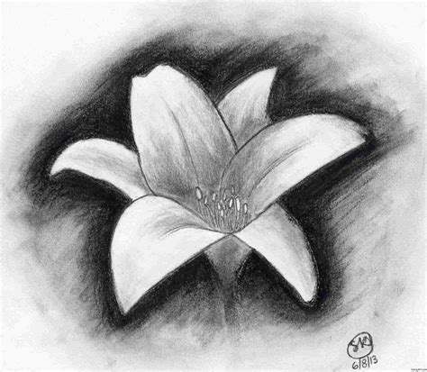 Shading Drawing of Flowers: A Step-by-Step Guide for Beginners