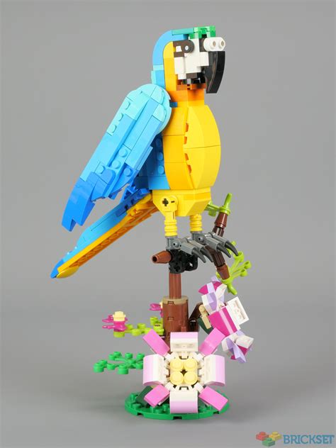 Quick look: 31136 Exotic Parrot | Brickset