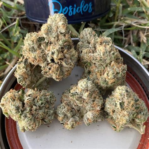 Strain Review: Do-si-dos by Grow Sciences - The Highest Critic