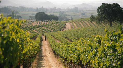 4 Wine Regions To Visit Now – Forbes Travel Guide Stories