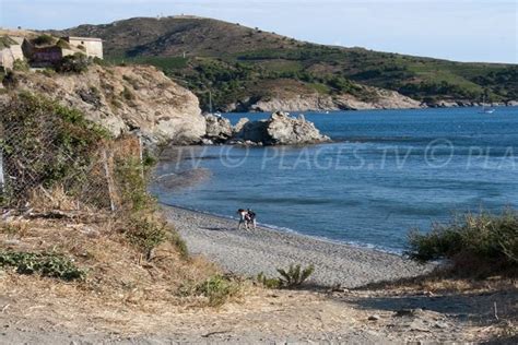 Fourat Beach in Port-Vendres - Pyrenees-Orientales - France - Plages.tv