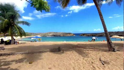 Mar Chiquita Beach, PR July 14th 2019 - YouTube