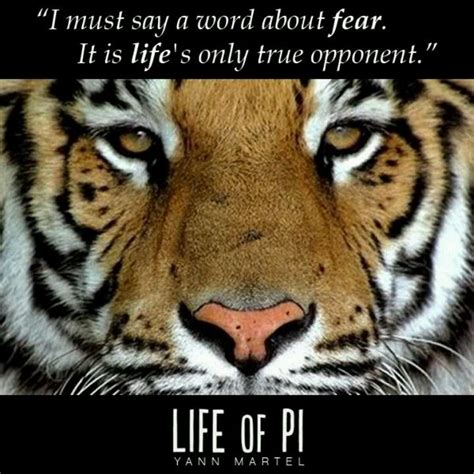 Life of Pi | Life of pi quotes, Life of pi, True life