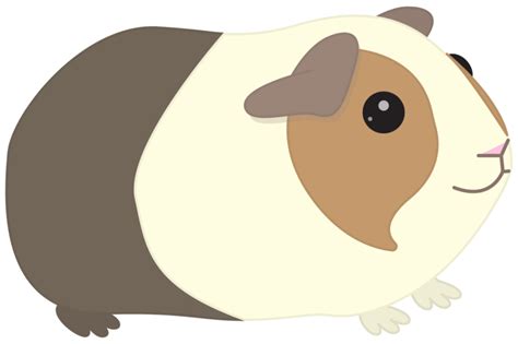 Kawaii clipart guinea pig, Kawaii guinea pig Transparent FREE for download on WebStockReview 2024