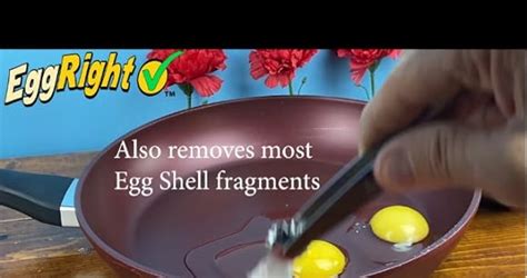 Amazon.com: Instantly removes egg chalaza from the yolk. Chalaza is the ...