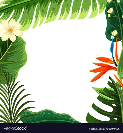 Border template with different kinds of leaves Vector Image