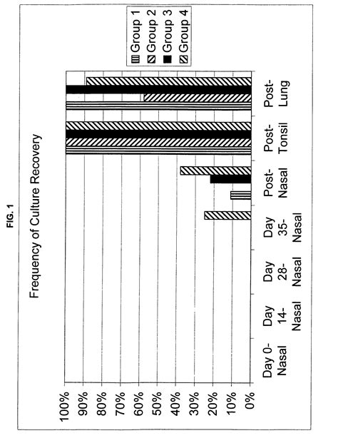 Mycoplasma bovis vaccine and methods of use thereof - Eureka | Patsnap