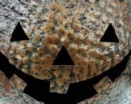 Smiling Halloween Pumpkin Free Stock Photo - Public Domain Pictures