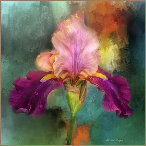 Iris Abstract Photograph by Harriet Feagin Photography