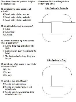 Science Fusion Worksheets by All Elementary | TPT