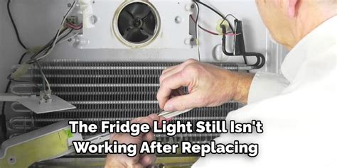 How to Change Light Bulb in Amana Refrigerator in 08 Steps (2024)