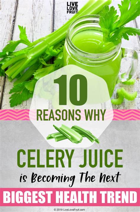 Top 10 Celery Juice Benefits To Heal Your Gut, Kill Viruses and Fight ...