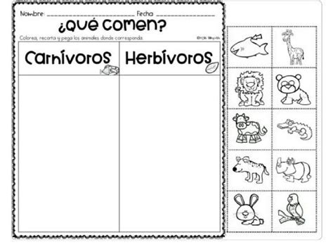 Clasificación de animales: carnívoros y herbívoros 71692