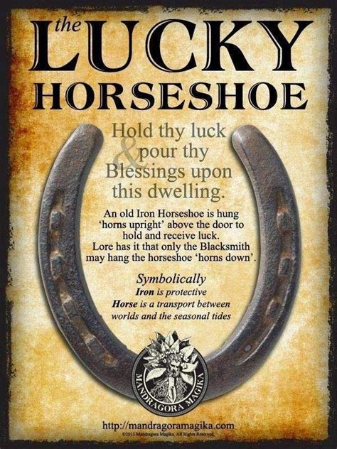 Lucky Horseshoe | Good luck horseshoe, Horseshoe art, Horseshoe