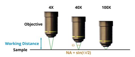 Microscope Calculations: Field of View, Depth of Field, Numerical ...