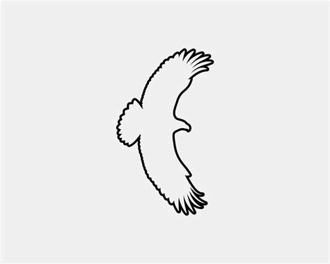 eagle outline vector silhouette 11542505 Vector Art at Vecteezy