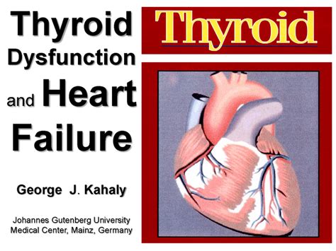 Thyroid Dysfunction and Heart Failure