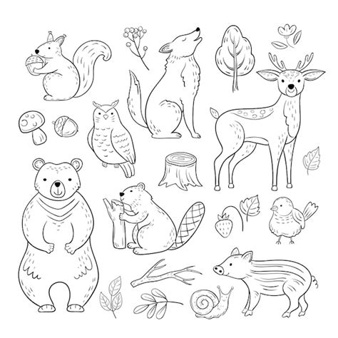 Animaux De La Forêt De Doodle. Woodland Mignon Bébé Animal écureuil ...