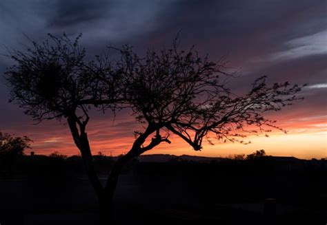 Desert Silhouette • Into the Light Adventures Sunrise and Sunset Post