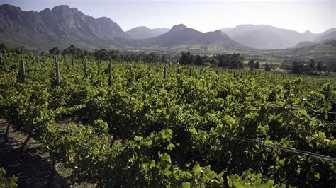 Top Things To Do in Franschhoek - Activitar.com