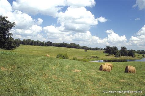 Scenes from the Piedmont region of North Carolina (3) | Flickr