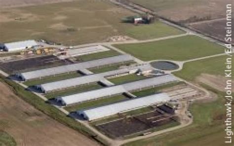 All About Animal Factories | Sierra Club