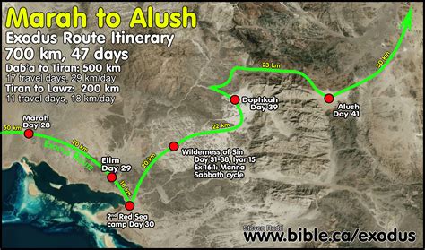 The Exodus Route: Elim (Nabatean Leuke Kome, Onne, Aynuna)