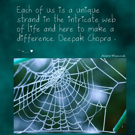 Quotes About Spider Webs. QuotesGram