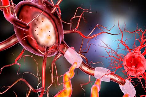 How Neurons Work? Neuroscience Model of Hebbian Theory Shows Neuronal ...