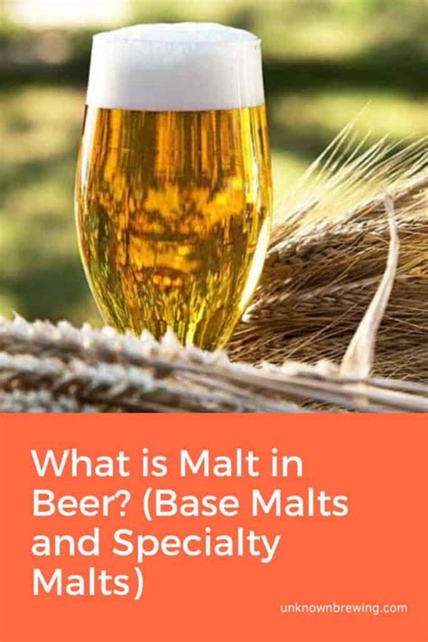 What is Malt in Beer? (Base Malts and Specialty Malts)