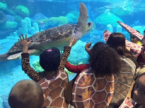 The Oklahoma Aquarium Is A Must-Visit Attraction In Jenks Oklahoma