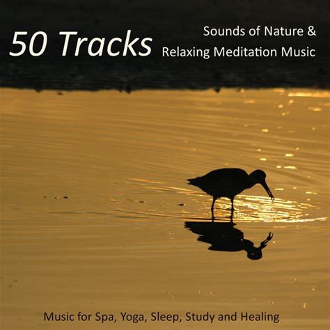 50 Tracks - Sounds of Nature & Relaxing Meditation Music for Spa, Yoga, Sleep, Study and Healing ...