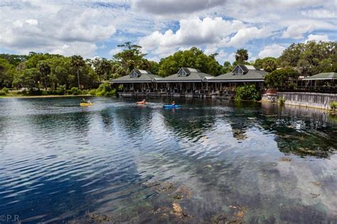 The Springs inside the Silver Springs State Park - Gate to Adventures