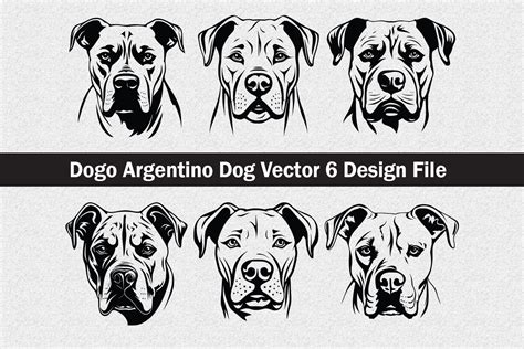 Dogo Argentino Dog SVG Graphic by Jennadesignsstore · Creative Fabrica