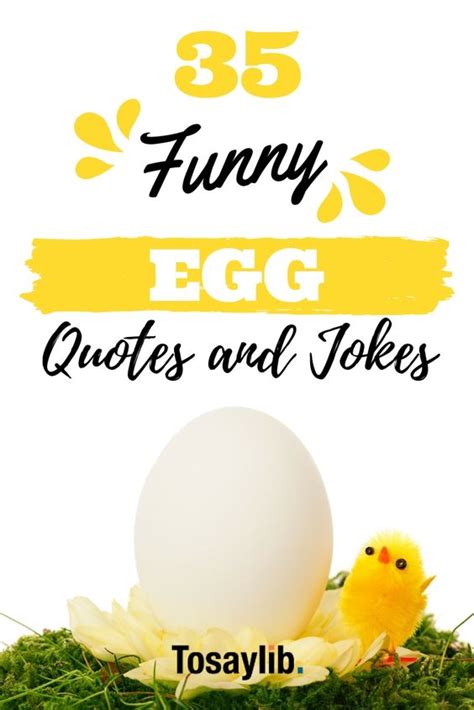 Egg Quotes - ShortQuotes.cc