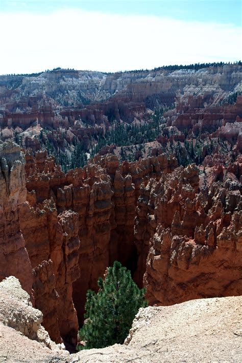 Navajo Loop Trail à Bryce Canyon, UT Bryce Canyon, Grand Canyon, Navajo, Trail, Grands, Loop ...