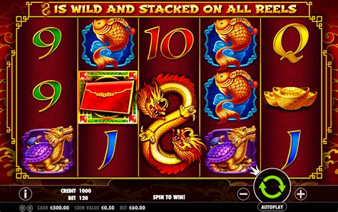 8 Dragons Slot | Play Free Slots by Pragmatic Play