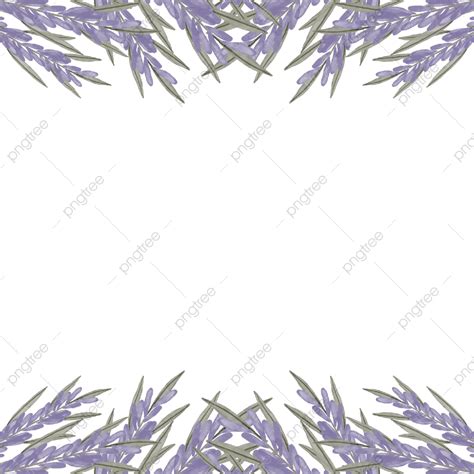 Lavender Watercolor Flowers PNG Image, Watercolor Lavender Flowers Border, Lavender, Frame ...