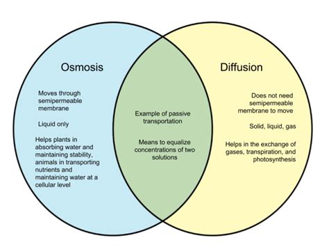 Difference Between Osmosis And Tonicity