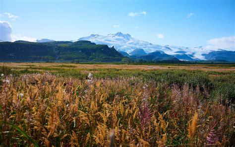 A Traveler's Guide To Kodiak Island | Kodiak Photography Workshops