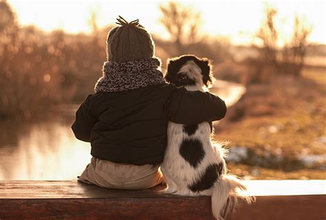 Der Hund - der beste Freund auf vier Pfoten für die trübe Herbststimmung