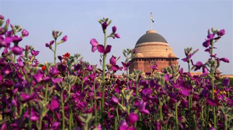 Delhi’s botanical garden Amrit Udyan is now open: Dates, timings and how to book | Condé Nast ...