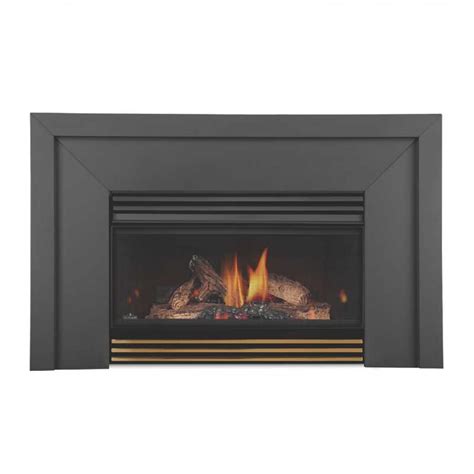 Napoleon GI3600-4N Basic Natural gas fireplace insert w/glass at iBuyFireplaces